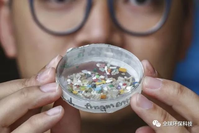 關(guān)于“微塑料”的危害，你了解多少？